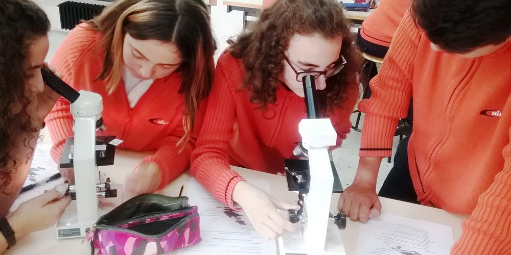 Instalaciones-laboratorio